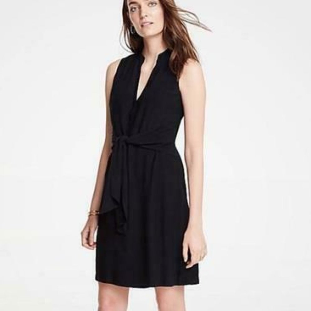 NWOT Ann Taylor Tie Front Shirtdress
